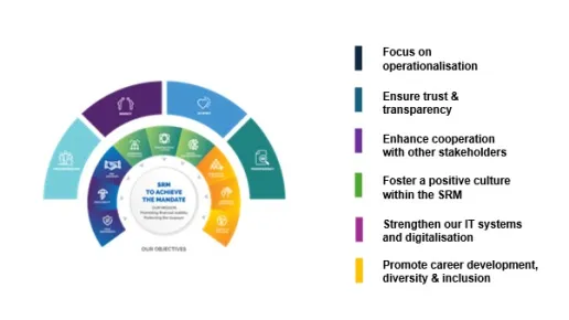  Single Resolution Mechanism: Vision 2028 strategic objectives