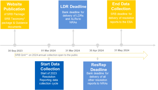 Timeline for the 2024 Resolution Reporting data collection process