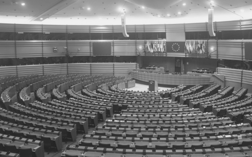 2020-05-05 European Parliament b&w.jpg