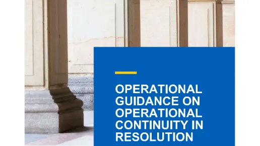 2021-11-29_SRB-Operational-Guidance-for-Operational-Continuity-in-Resolution.png