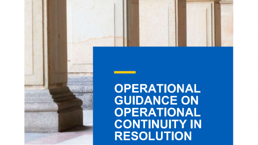 2021-11-29_SRB-Operational-Guidance-for-Operational-Continuity-in-Resolution.png