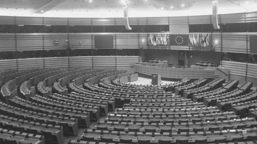 2020-05-05 European Parliament b&w.jpg