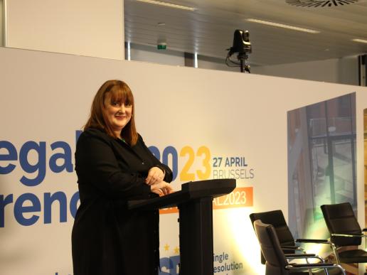 SRB Legal Conference 2023 - picture 7