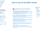 Bail-in: part of SRM’s toolkit