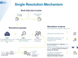 Single Resolution Mechanism infographic
