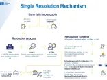 Single Resolution Mechanism infographic