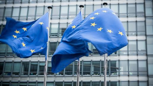 EU flags