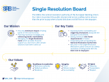Single Resolution Board